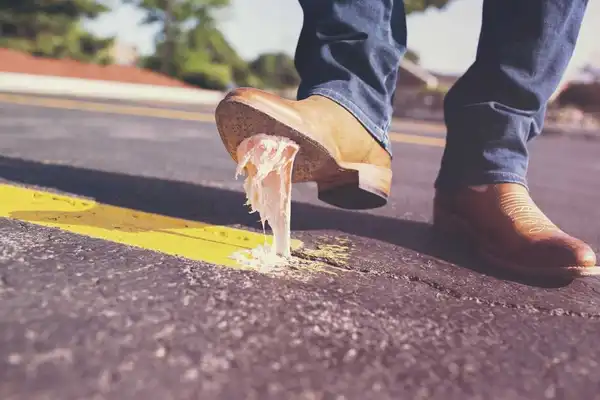 8 Motivos por los que no conseguiste el trabajo que tenías entre manos - Gastón Krasny