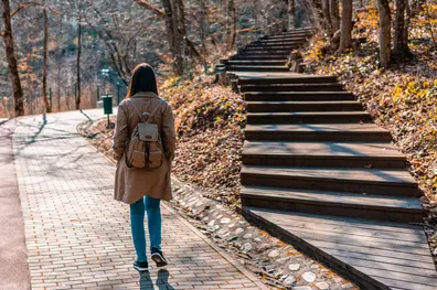 Falsos dilemas: La tentación de la “o” excluyente