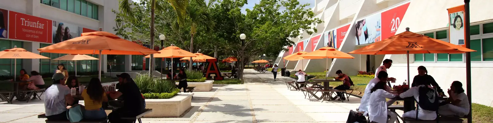 Universidad de Anáhuac Cancún