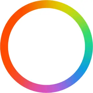 Payoneer Logo