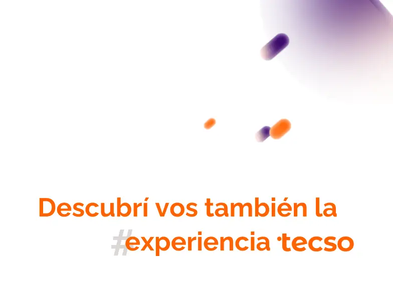tecso - 06.Experiencia_DER.png