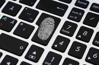 Ciberseguridad ¿Cómo mantener la privacidad de nuestros datos?